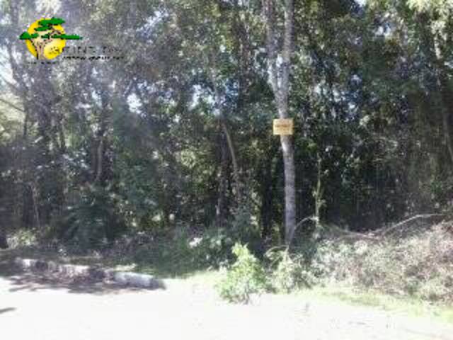 Terreno para Venda em Mairiporã - 5