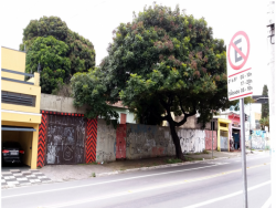 #1501 - Área para Venda em São Paulo - SP - 1
