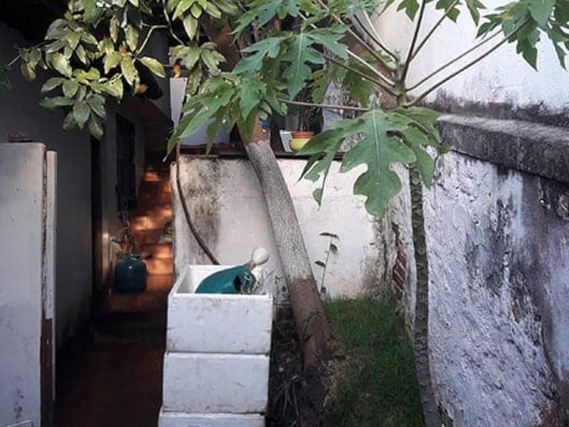 Sobrado para Venda em São Paulo - 4