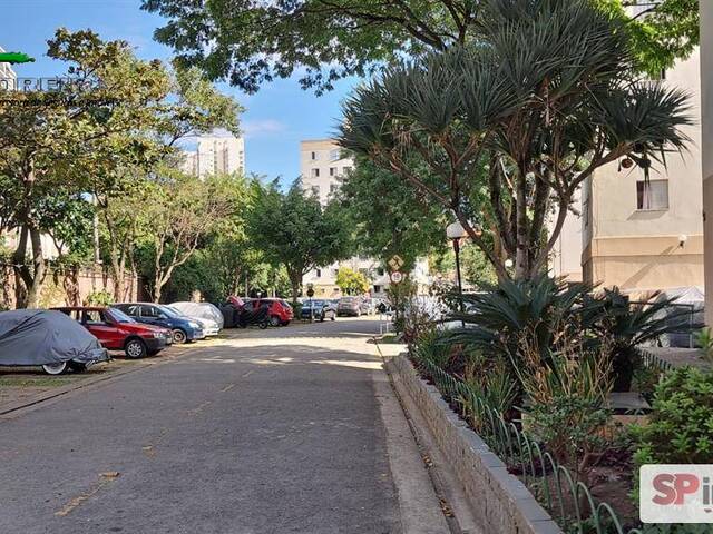 #2824 - Apartamento para Venda em São Paulo - SP