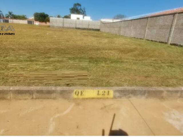 #3025 - Terreno para Venda em Porto Ferreira - SP - 1