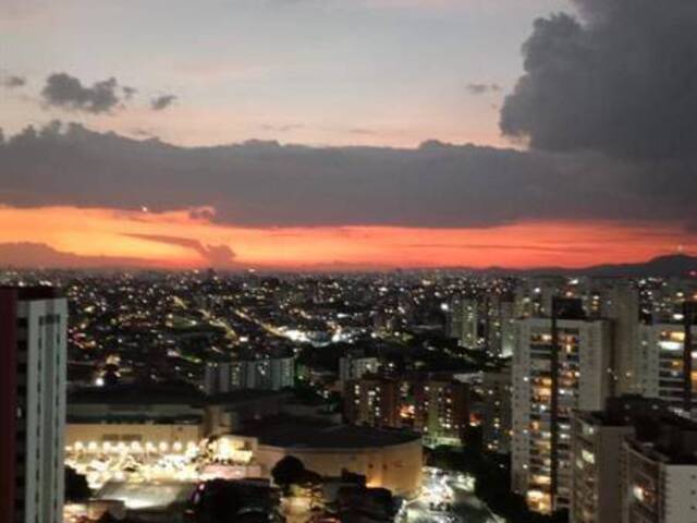 Locação em LAUZANE PAULISTA - São Paulo
