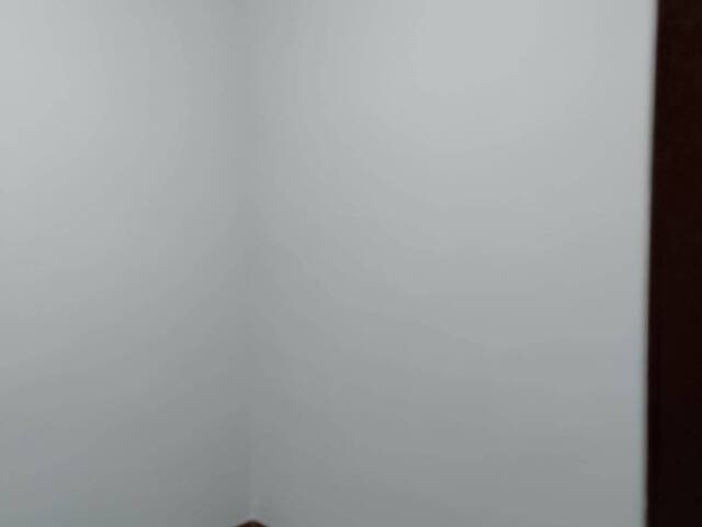 #3098 - Casa para Locação em São Paulo - SP - 2