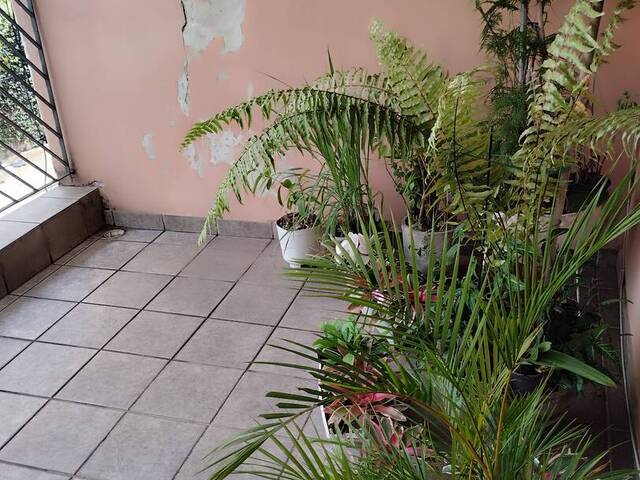 Sobrado para Venda em São Paulo - 5