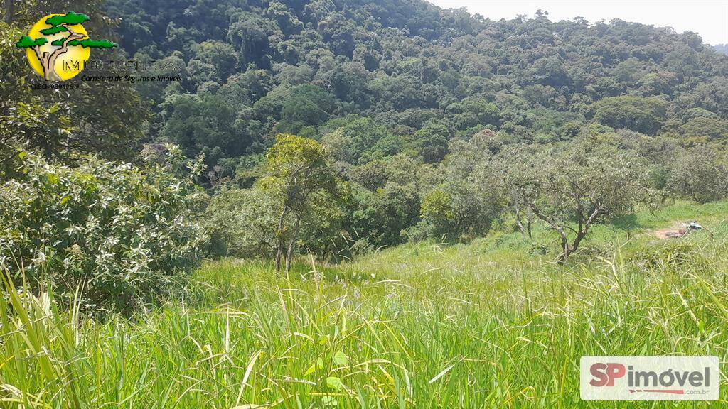 Terreno, 1036 m² - Foto 5