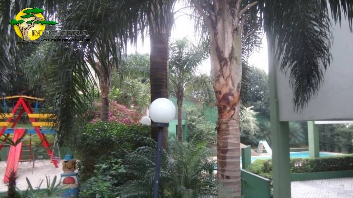 Apartamento, 2 quartos, 49 m² - Foto 9